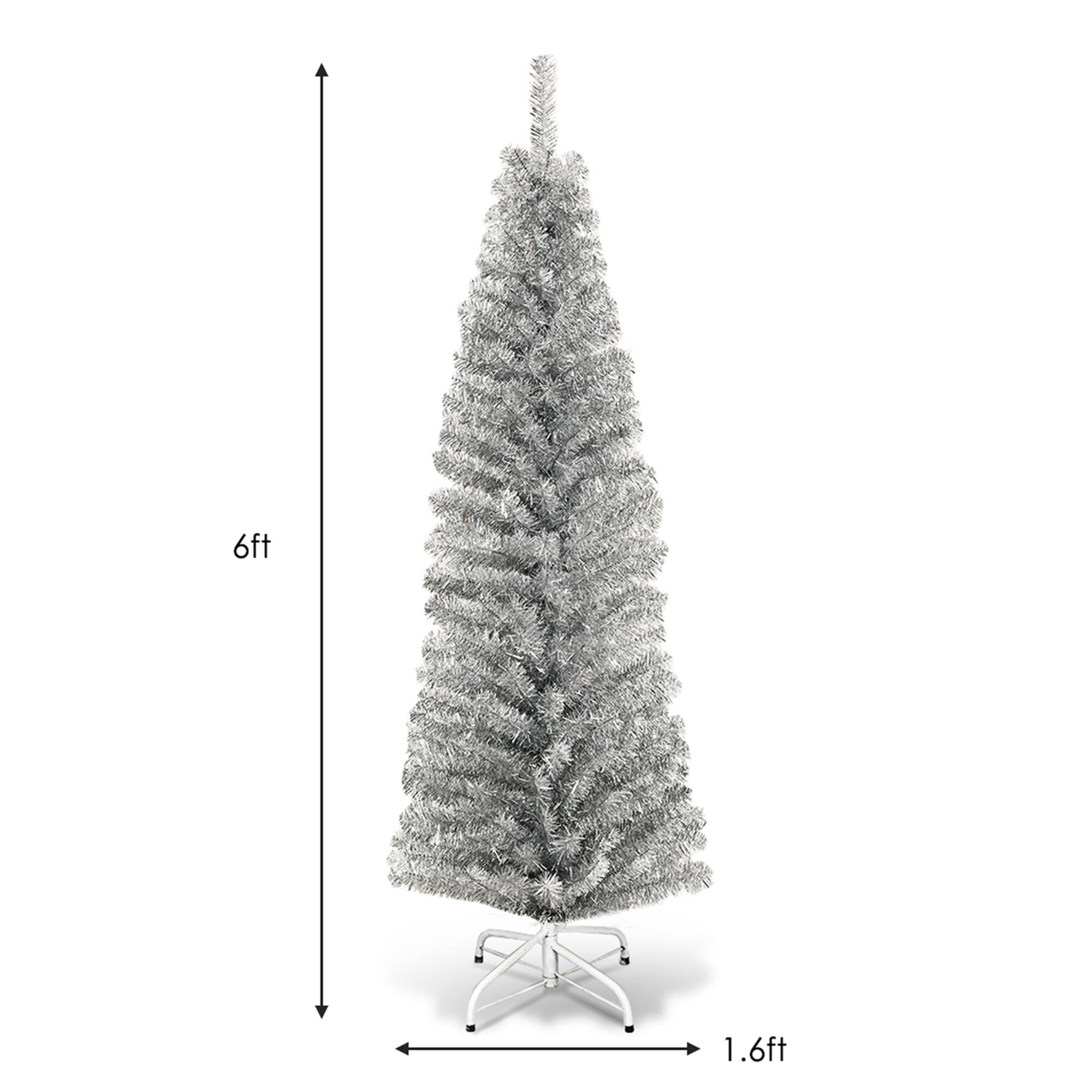 The text on the image reads "6ft 1.6ft." This suggests that the tree is 6 feet tall and has a base that is 1.6 feet wide.