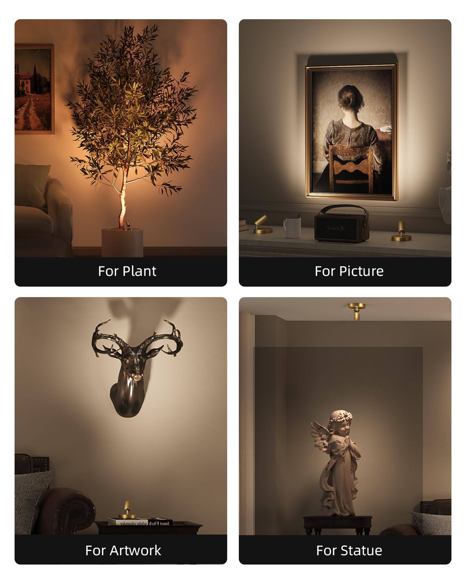 For Plant  
For Picture  
For Artwork  
For Statue