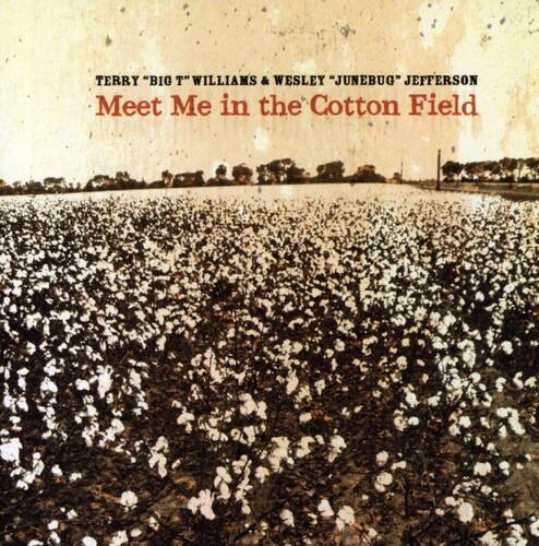 "Wesley ""June Bug"" Jefferson - Meet Me in the Cotton Field   - COMPACT DISCS [CD]" price history on PriceWatchPro
