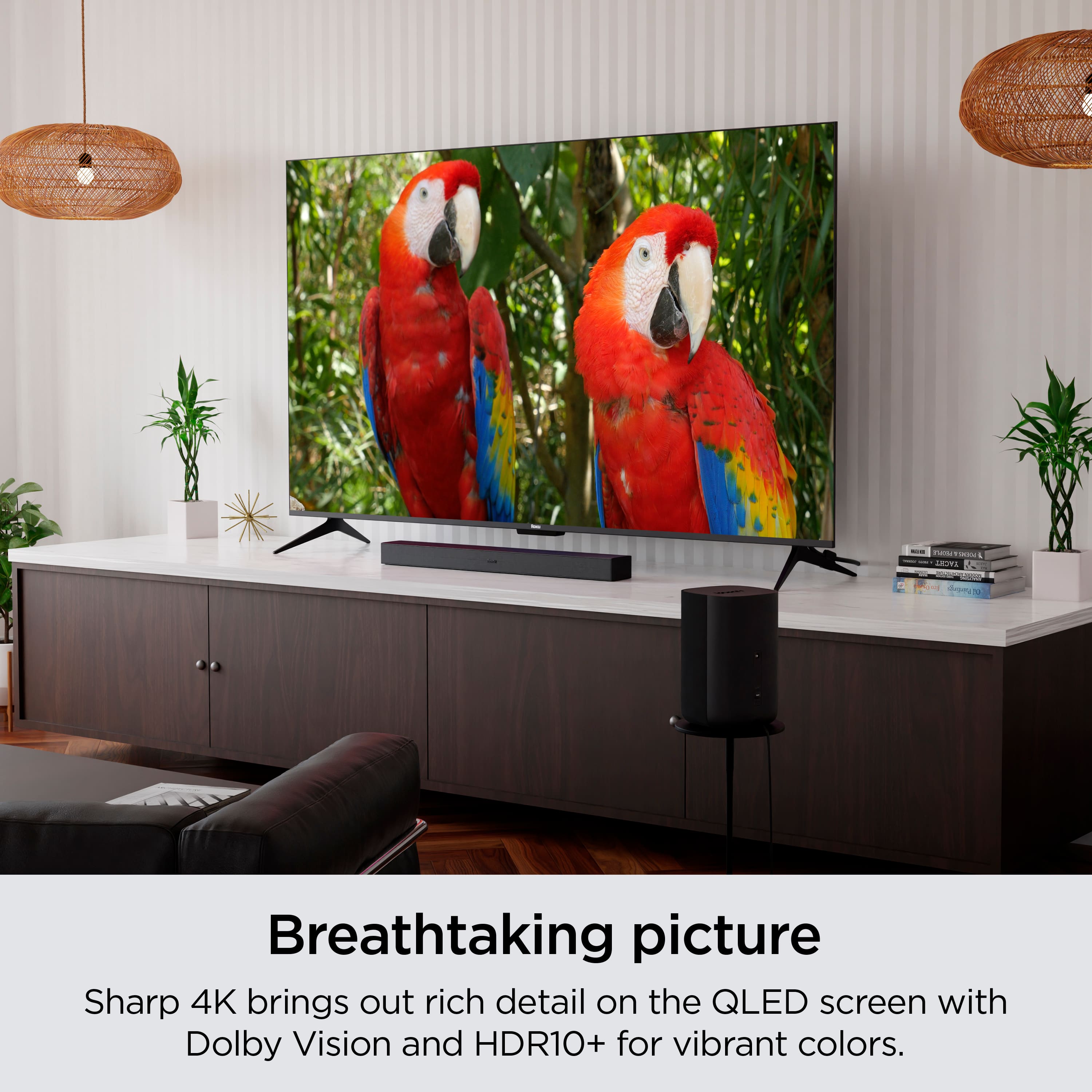 Breathtaking picture: Sharp 4K brings out rich detail on the QLED screen with Dolby Vision and HDR10+ for vibrant colors.