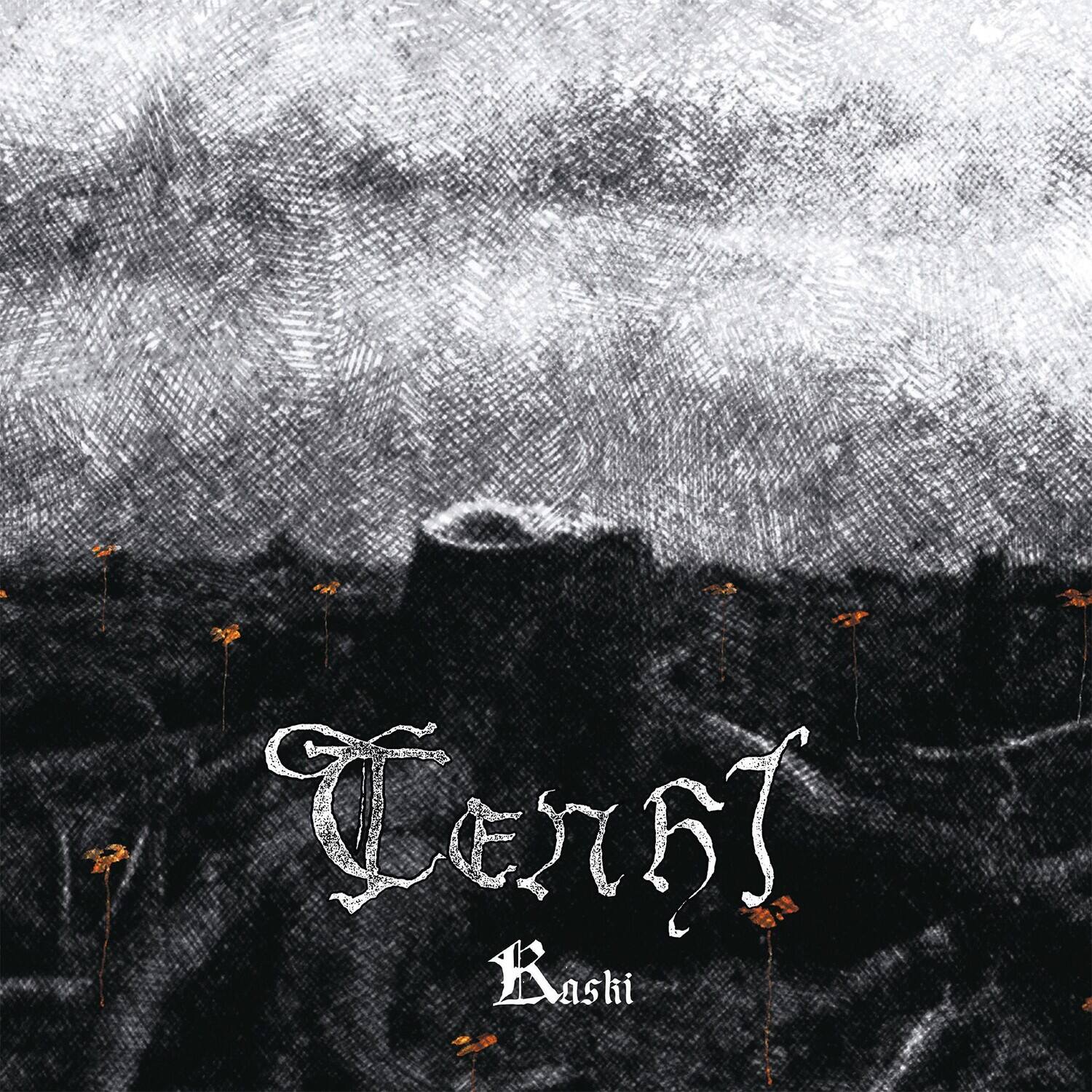 Tenhi - Kaski   - COMPACT DISCS [CD] price history on PriceWatchPro