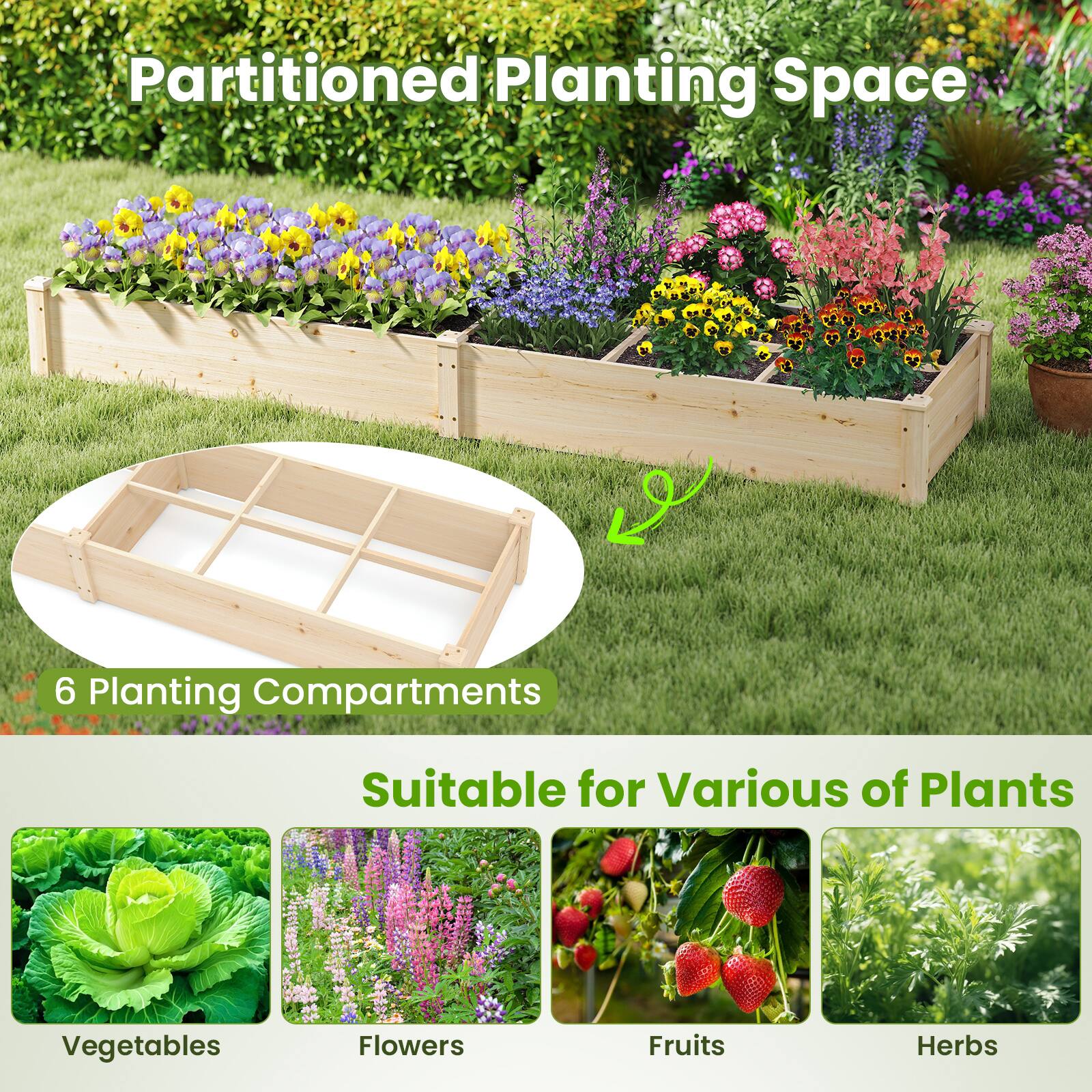 Partitioned Planting Space

6 Planting Compartments

Suitable for Various of Plants

Vegetables  
Flowers  
Fruits  
Herbs