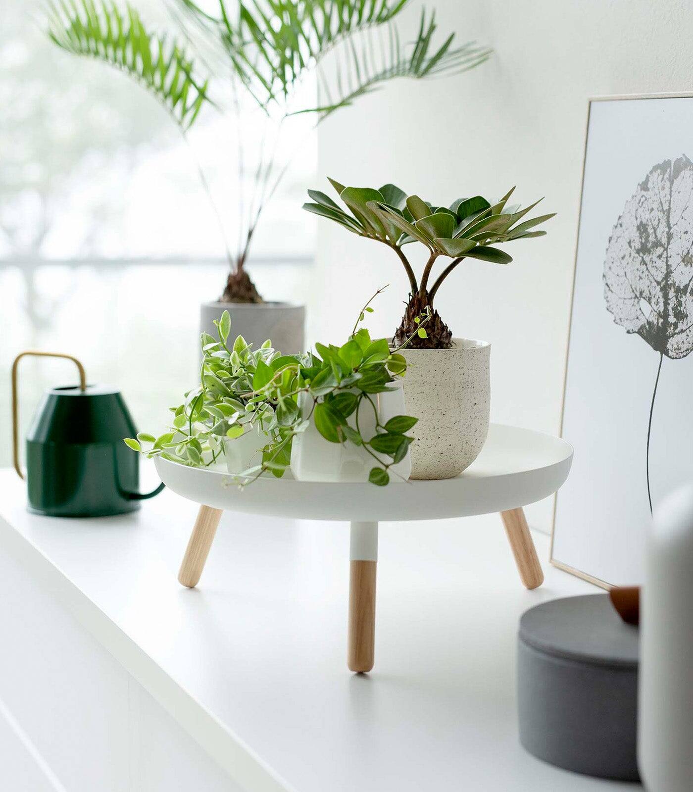 Left. Yamazaki Home - Countertop Pedestal Tray (5" H)  - Steel + Wood - White.