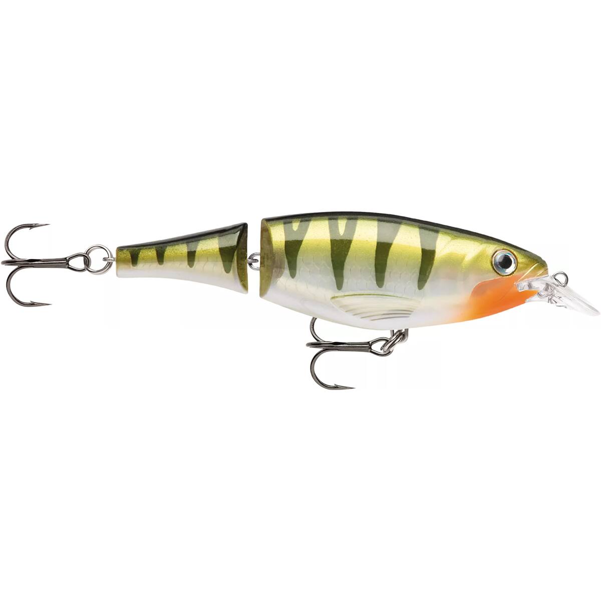 Yellow Perch