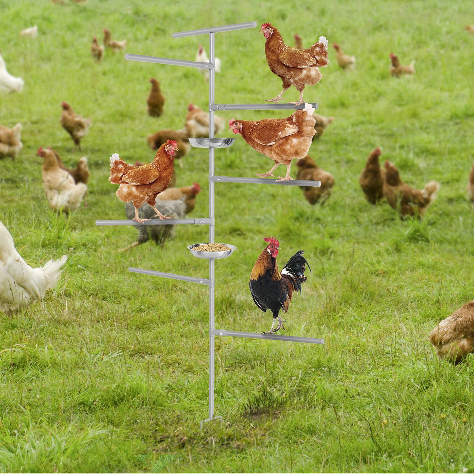 Angle. Oumilen - Grey In-ground Chicken Perch Stand with Multi-level Roosting Bars & Stainless Steel Feeder Bowls - White.