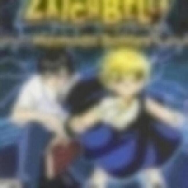 Front. BANDAI NAMCO Entertainment - Zatch Bell! Mamodo Battles - PlayStation 2.