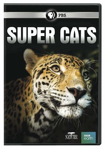 Front. NATURE: Super Cats   - DVD.