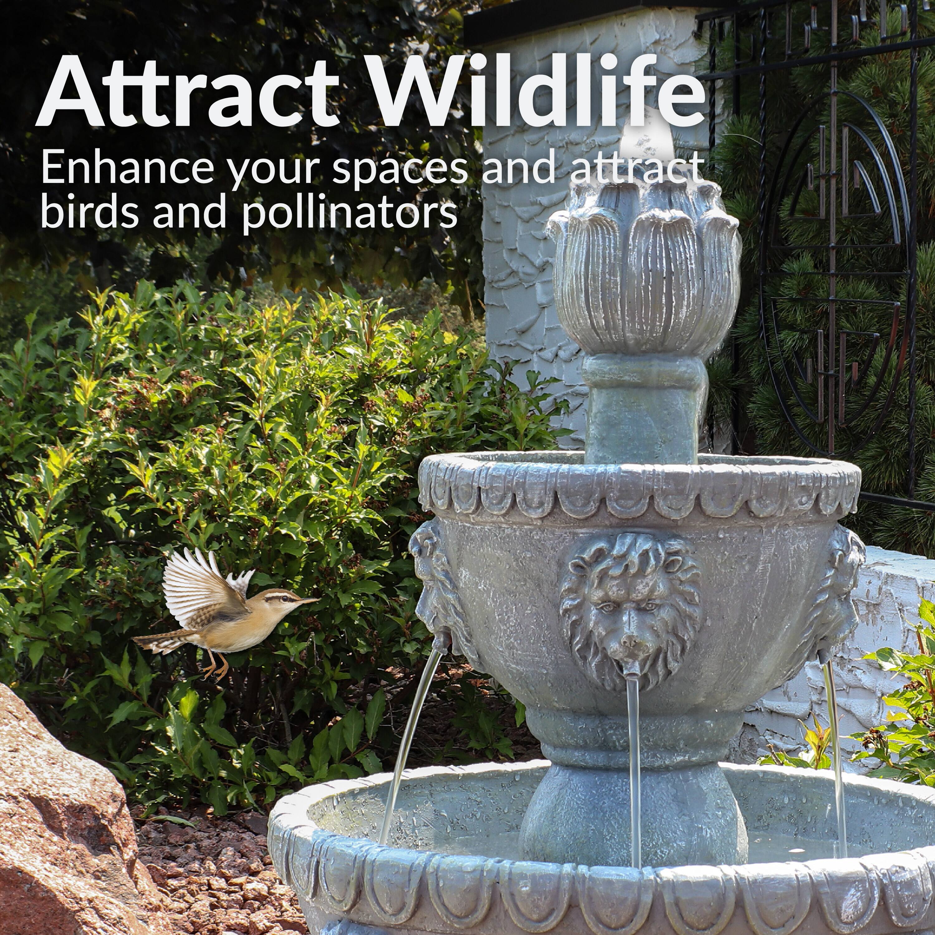 Attract Wildlife  
Enhance your spaces and attract birds and pollinators