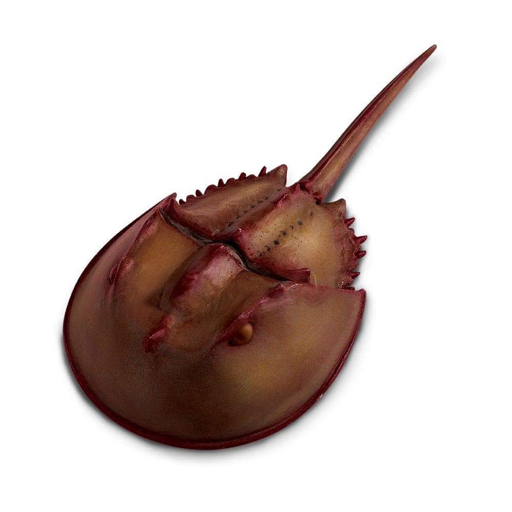 Safari Ltd. - Horseshoe Crab Toy Figurine