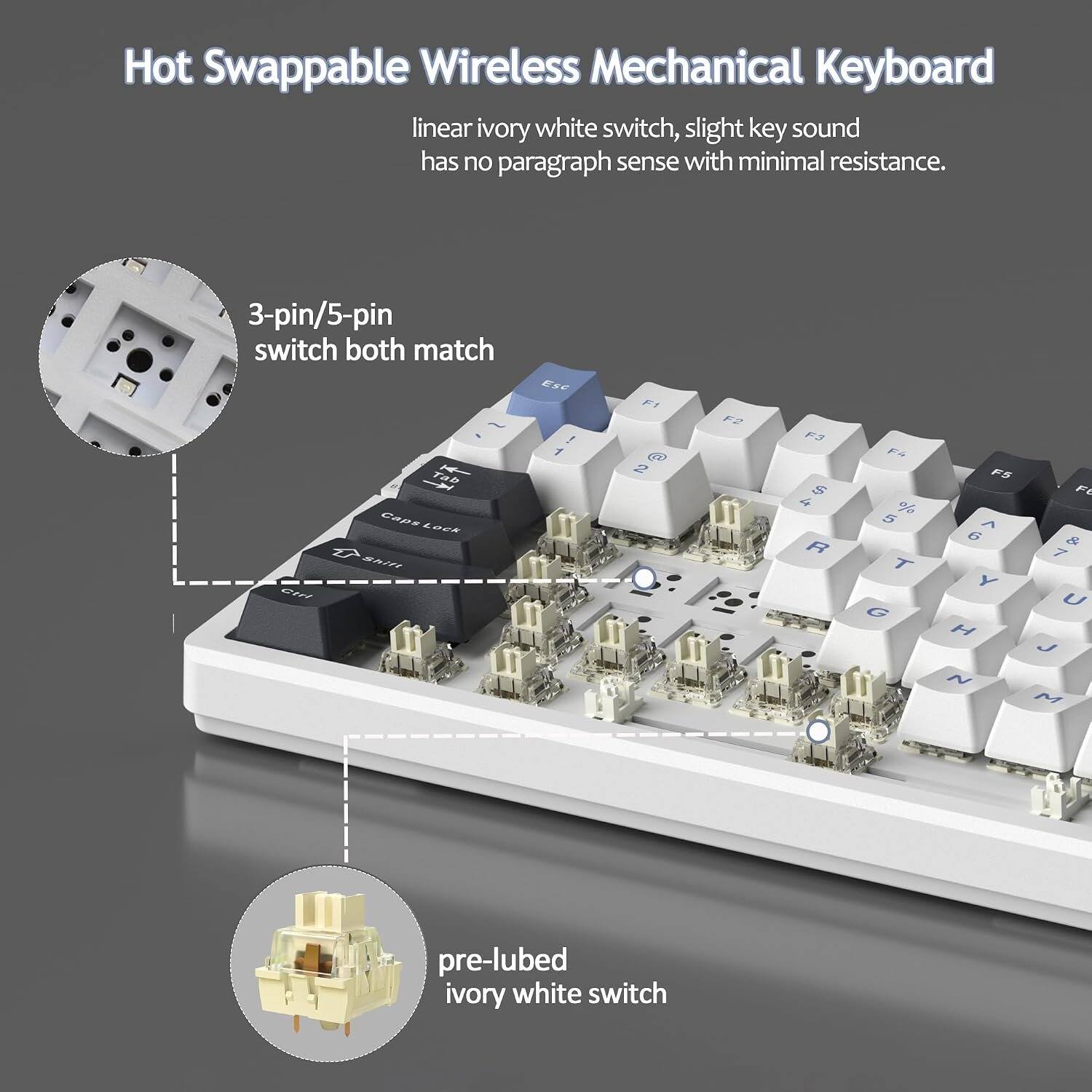Hot Swappable Wireless Mechanical Keyboard

linear ivory white switch, slight key sound has no paragraph sense with minimal resistance.

3-pin/5-pin switch both match

Tab Caps Lock Shift Ctrl

ESC ! 1
F1 2
F2
F3 $ 4 R
F4 % 5 T G
F5 ^ 6 Y H N
Ft & 7 U J M

pre-lubed ivory white switch