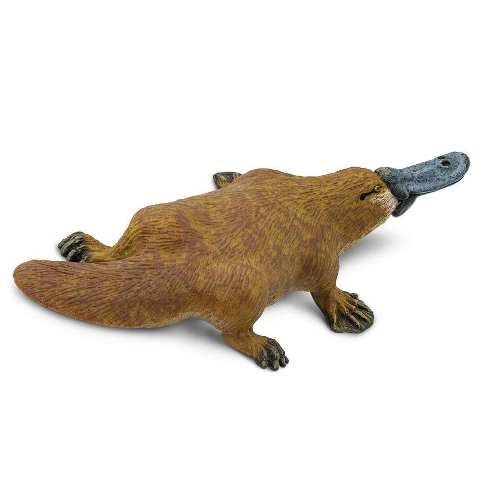 Back. Safari Ltd. - Platypus Toy Figurine.