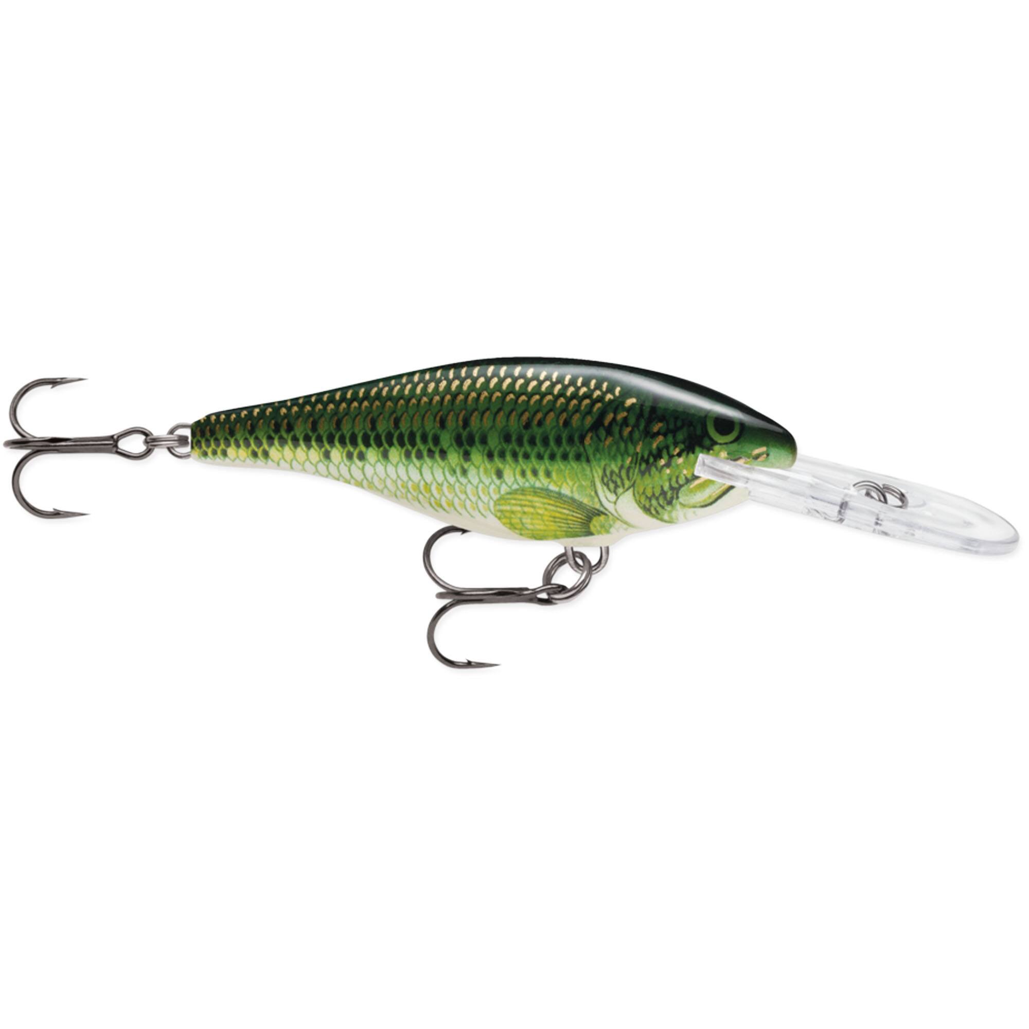 Baby Bass
