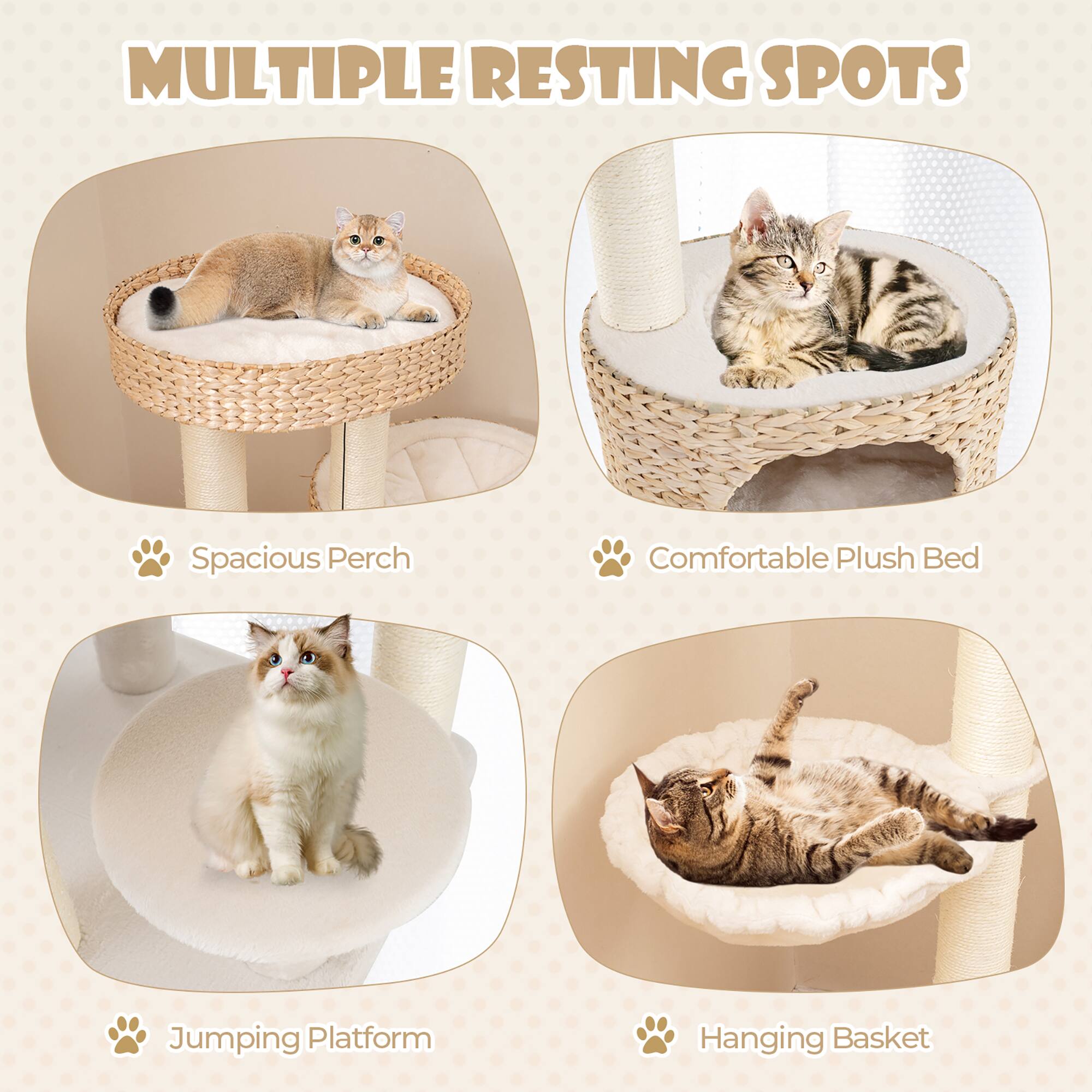 MULTIPLE RESTING SPOTS

- Spacious Perch
- Comfortable Plush Bed
- Jumping Platform
- Hanging Basket