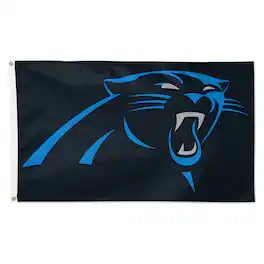 WinCraft - Carolina Panthers 3' x 5' Primary Logo Single-Sided Flag - Multicolor