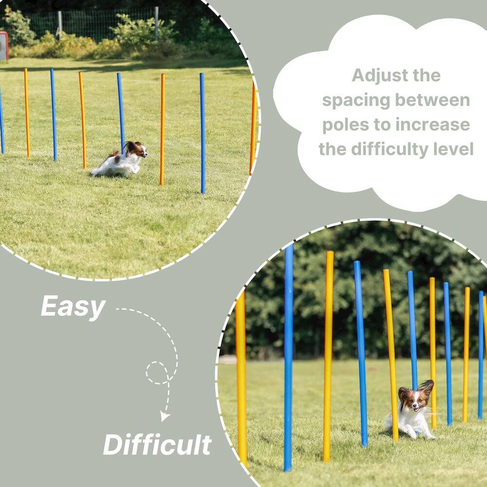 Adjust the spacing between poles to increase the difficulty level

Easy  
Difficult