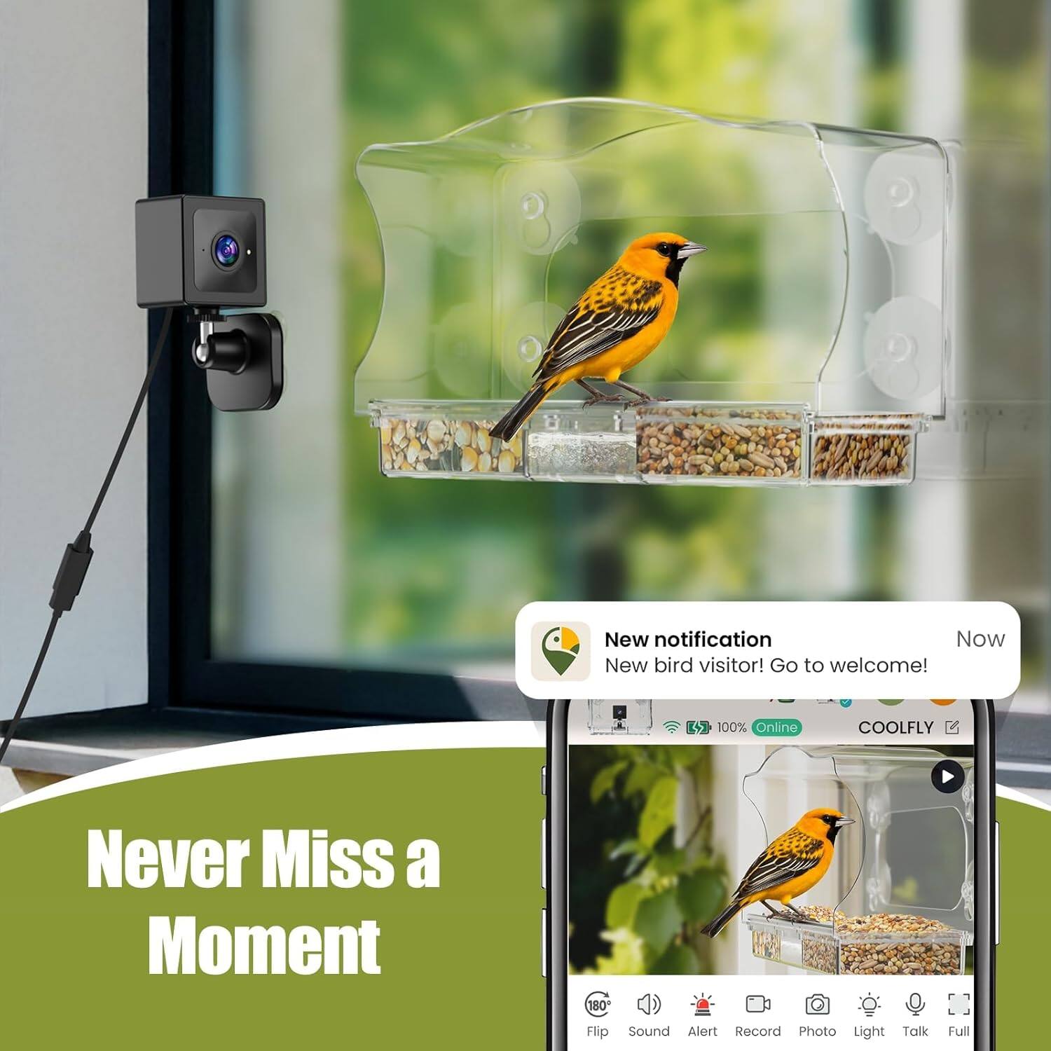 media item thumbnail