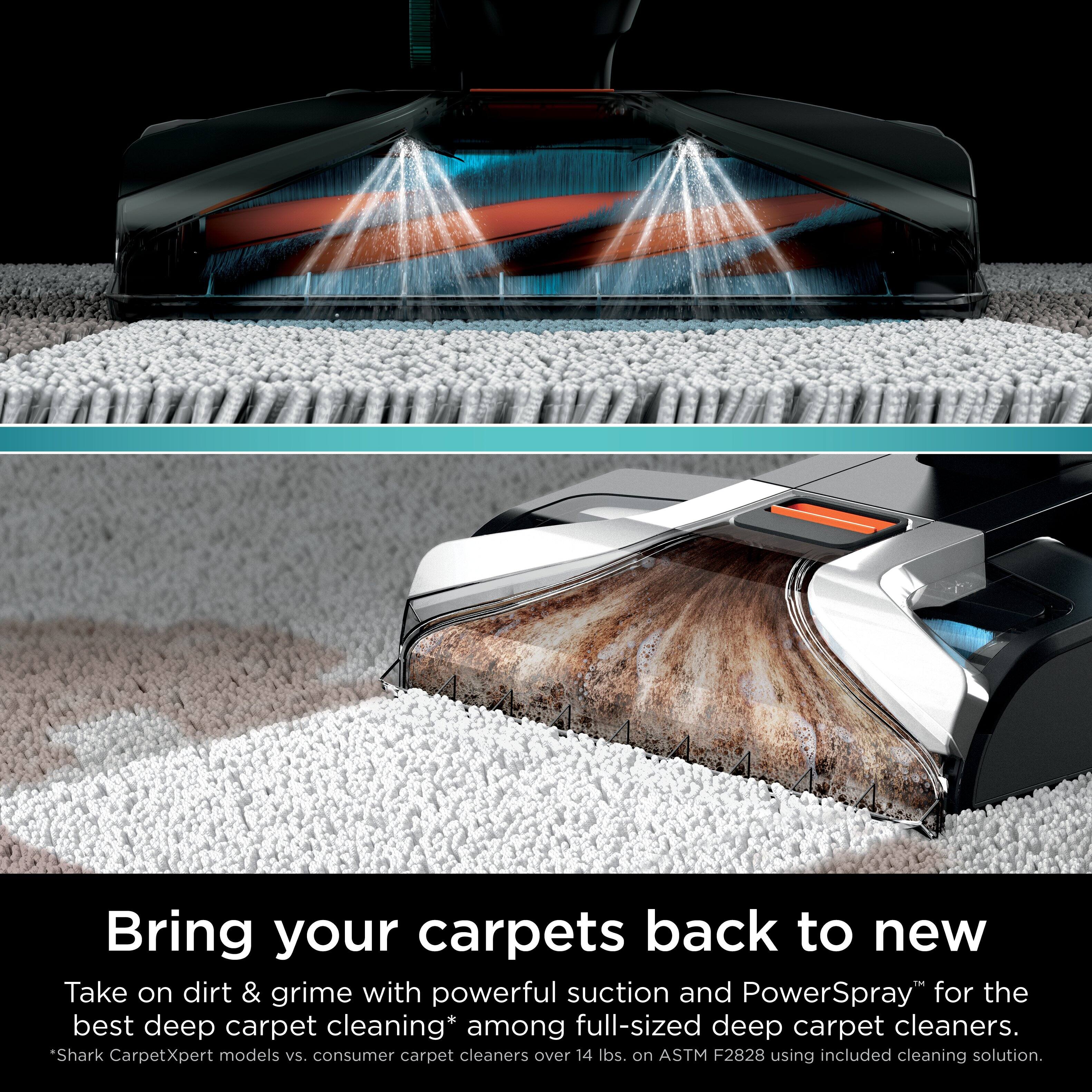 Shark CarpetXpert with Stainstriker Technology Corded Upright Deep