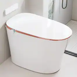 TOTTE - Smart Bidet Toilet with Auto Flush, Heated Seat, Warm Water Wash, Dryer, Foam Shield & Remote Control - White & Gold