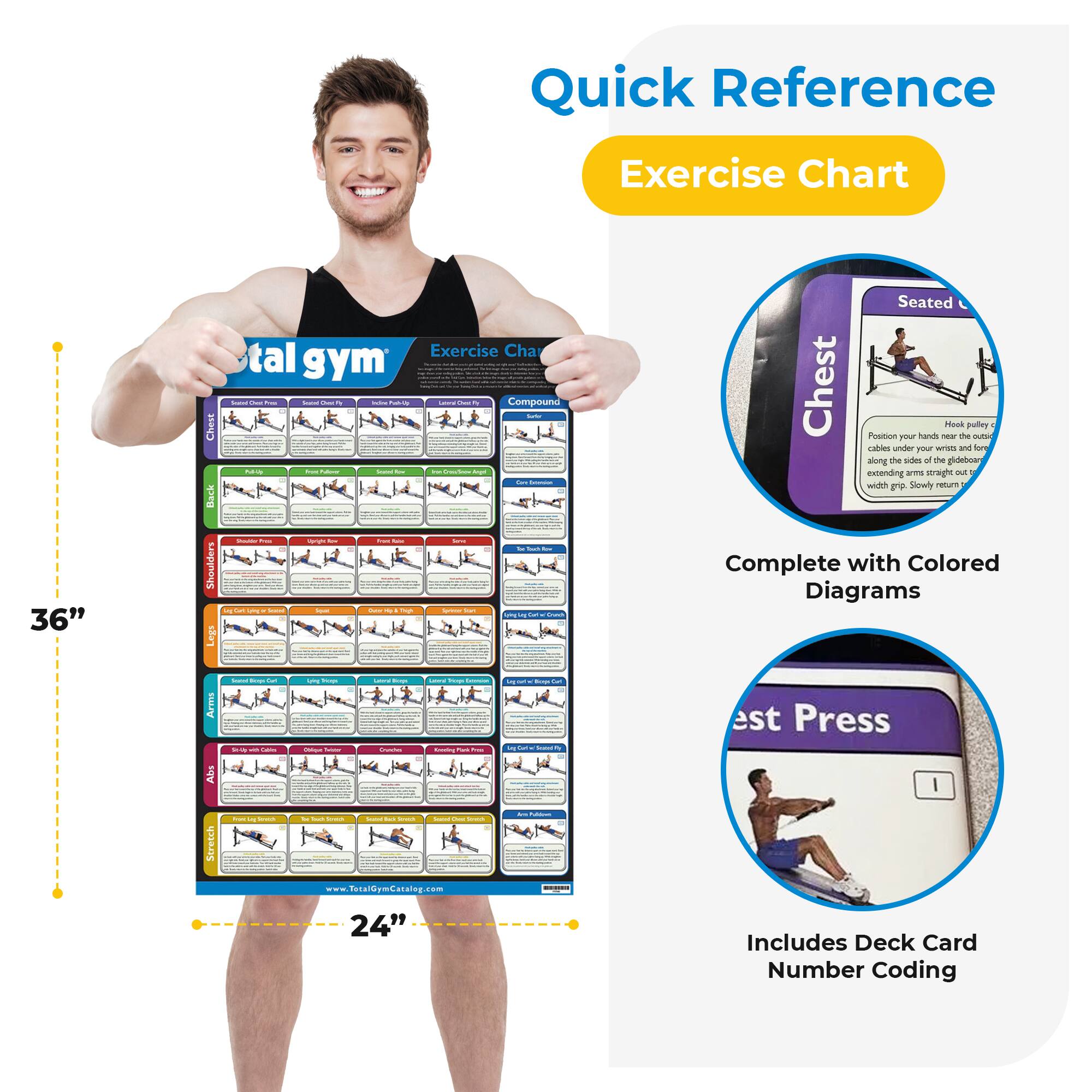 Quick Reference Exercise Chart

36" x 24"

Total Gym Exercise Chart

- Chest
- Back
- Shoulders
- Legs
- Arms
- Abs
- Stretch

Complete with Colored Diagrams

Includes Deck Card Number Coding

www.TotalGymCatalog.com

Quick Reference Exercise Chart

Chest
Seated Chest Press
Position your hands near the outside cables under your wrists and for extending arms straight out with grip. Slowly return.

Chest Press

Includes Deck Card Number Coding