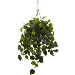 BreeBe - Philodendron Hanging Basket UV Resistant (Indoor/Outdoor) - Green