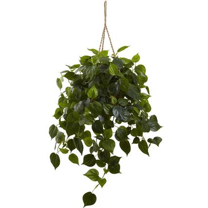 Front. BreeBe - Philodendron Hanging Basket UV Resistant (Indoor/Outdoor) - Green.
