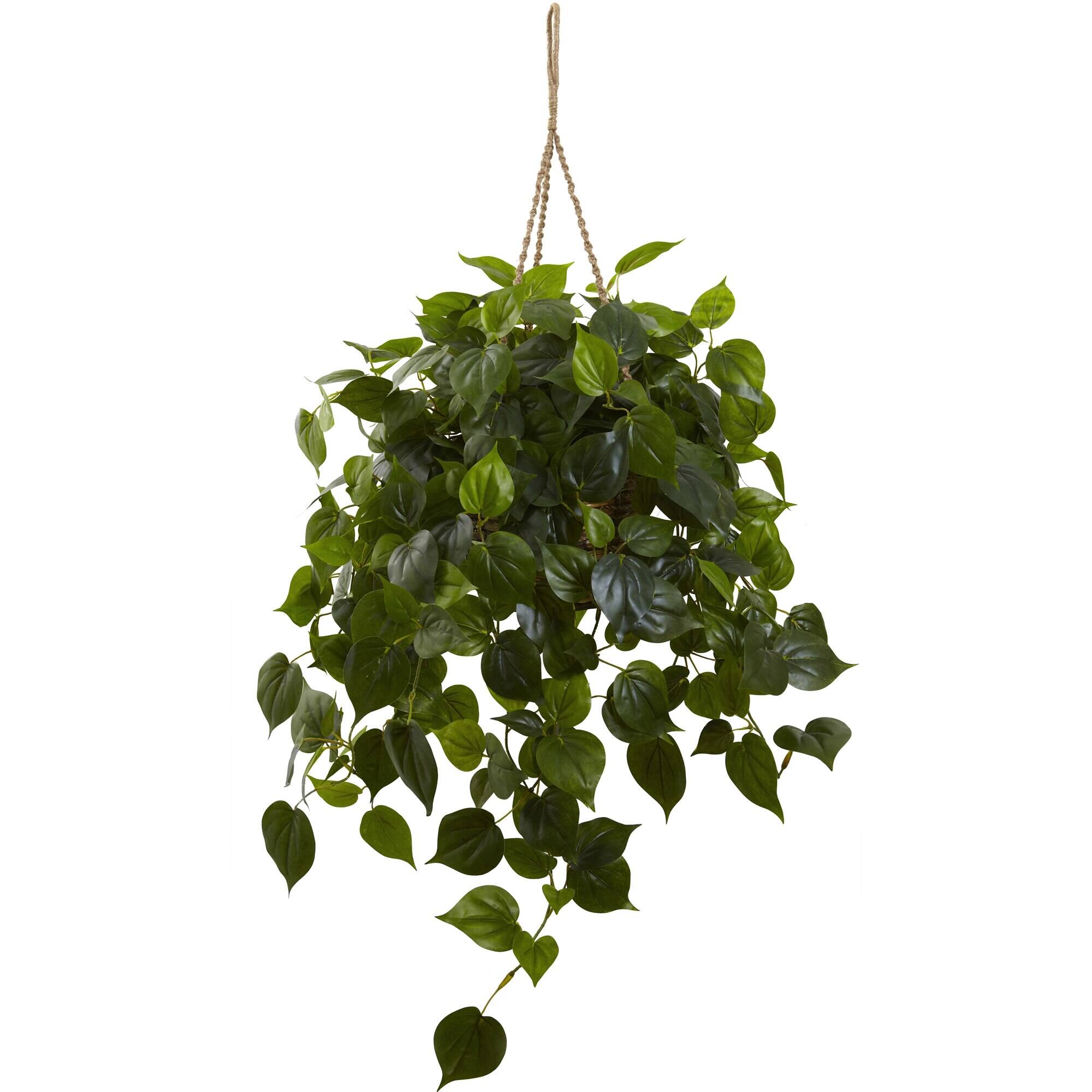 Front. BreeBe - Philodendron Hanging Basket UV Resistant (Indoor/Outdoor) - Green.
