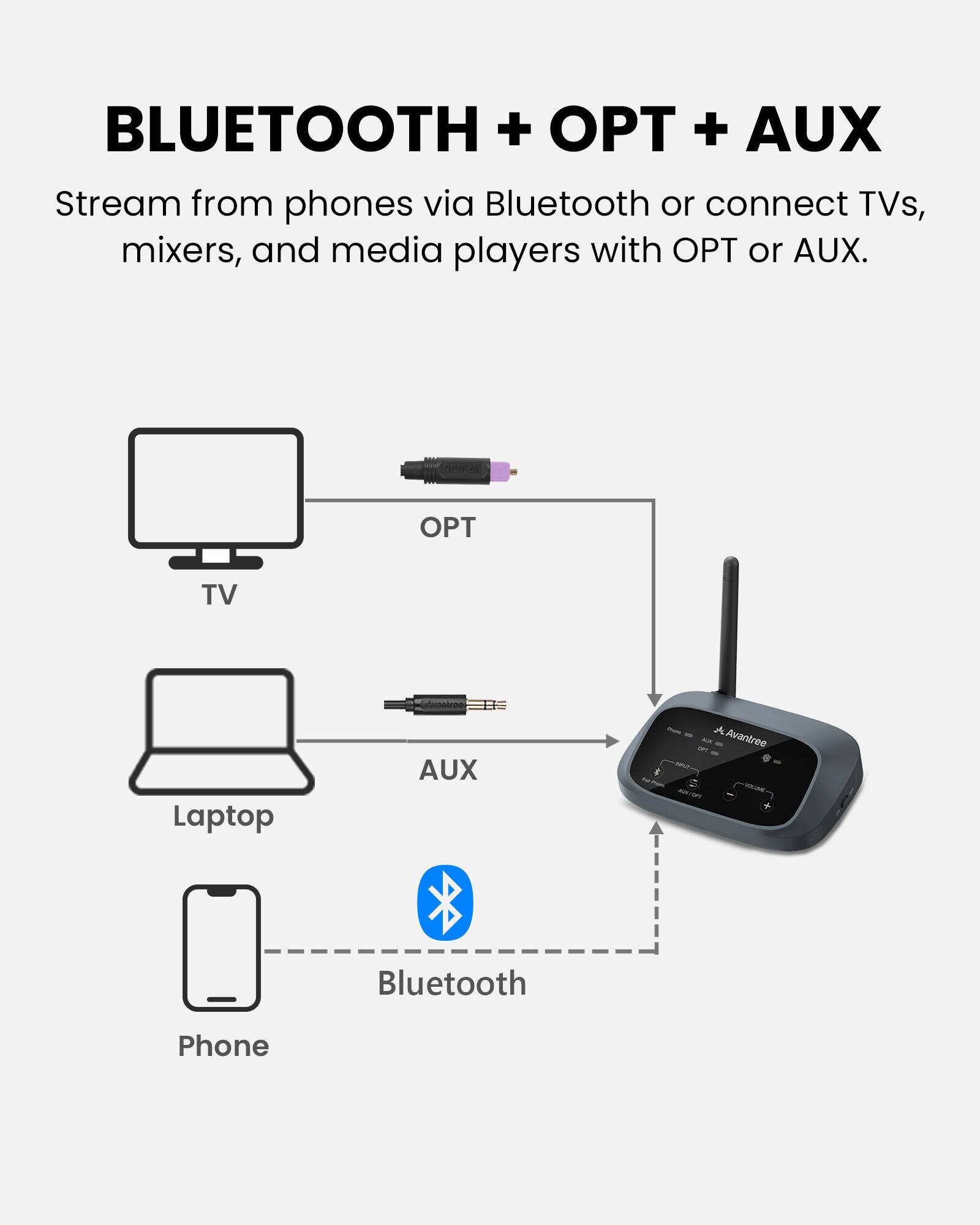 BLUETOOTH + OPT + AUX

Stream from phones via Bluetooth or connect TVs, mixers, and media players with OPT or AUX.

TV
Laptop
AUX
- or 62X Aventree & 790 
Bluetooth
Phone