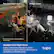 Full-Color Night Vision
IR Night Vision
*Full-color night vision must be enabled in the Tapo app.
Starlight Color Night Vision
Capture vibrant, accurate colors even in extremely low-light conditions with the built-in spotlights and starlight sensor.
tapo
