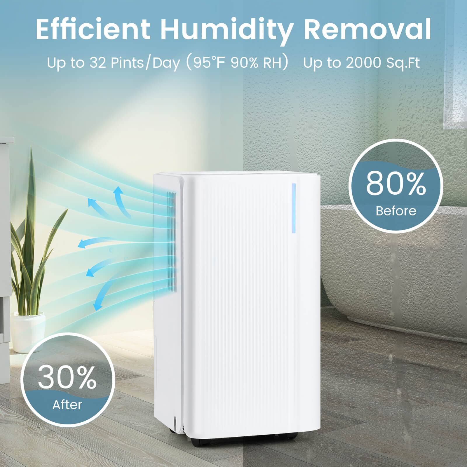 Efficient Humidity Removal  
Up to 32 Pints/Day (95°F 90% RH)  
Up to 2000 Sq.Ft  

80% Before  
30% After