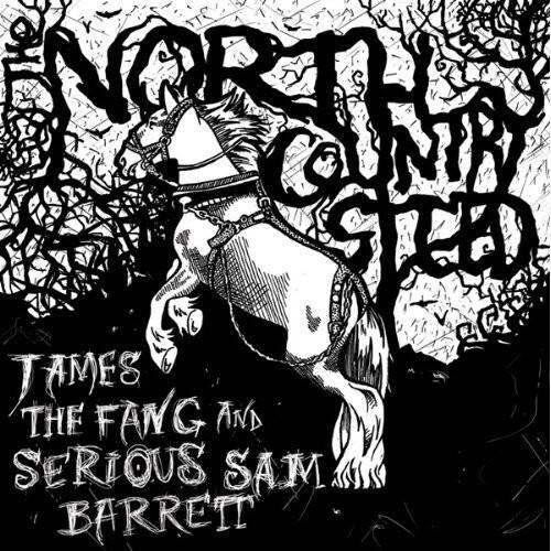 James the Fang - North Country Steed   - COMPACT DISCS [CD] price history on PriceWatchPro