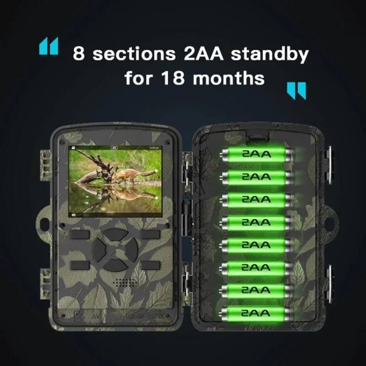 8 sections 2AA standby for 18 months