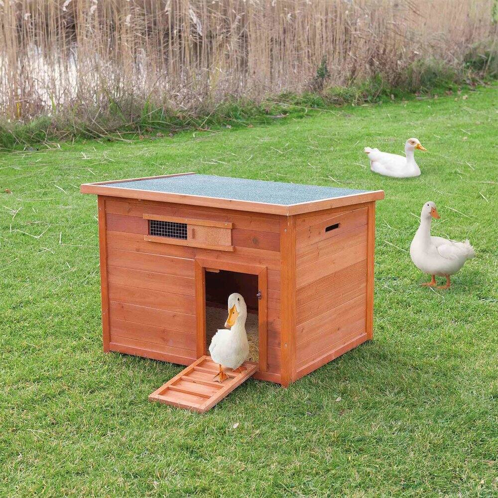 Angle. TRIXIE - Natura Weatherproof Wooden Outdoor Duck Coop with Pull-Out Tub, Brown - Brown.