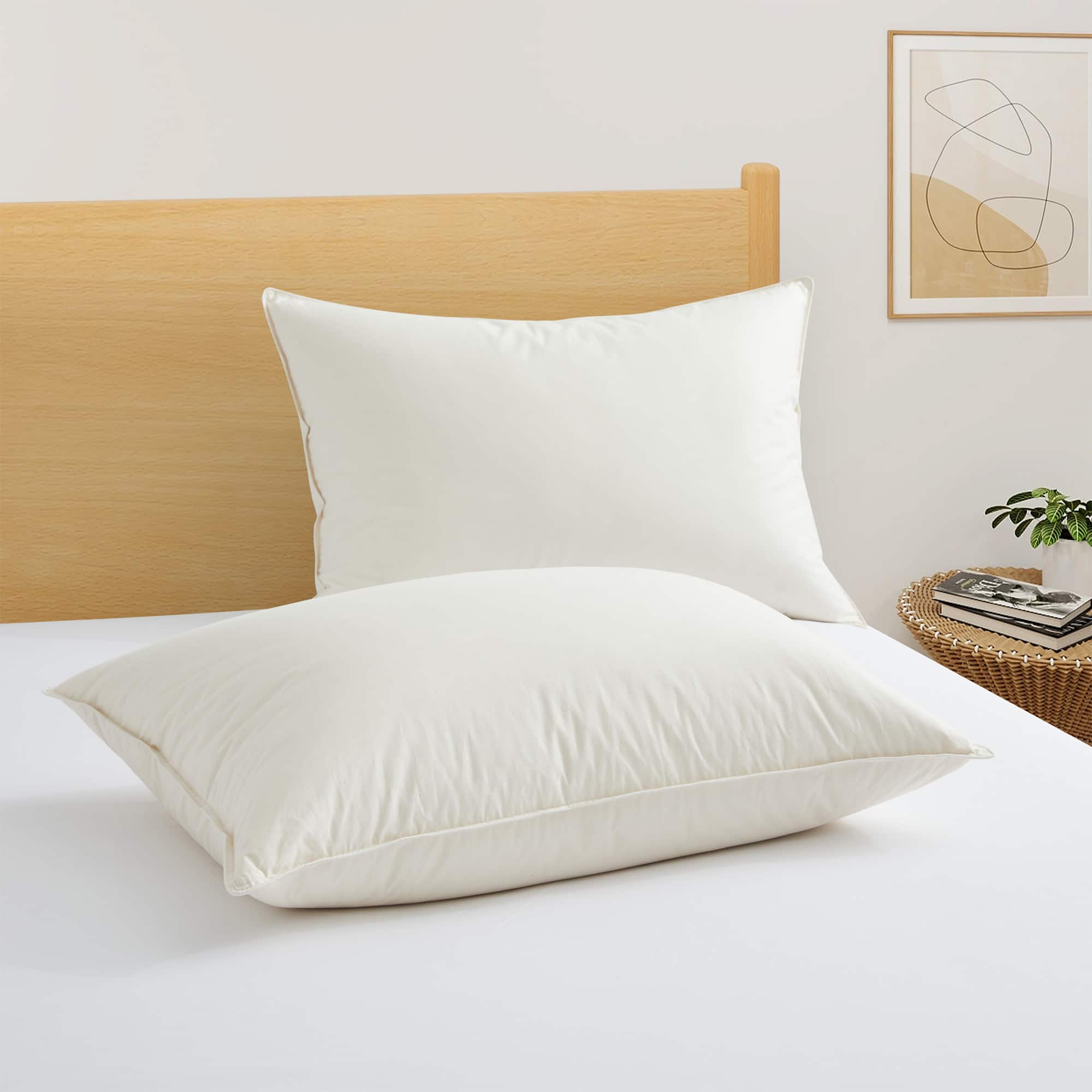 Puredown - Set of 2 Natural Organic Cotton 50% Down Pillows Made in Japan, King - Off-White