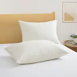 Puredown - Set of 2 Natural Organic Cotton 50% Down Pillows Made in Japan, King - Off-White