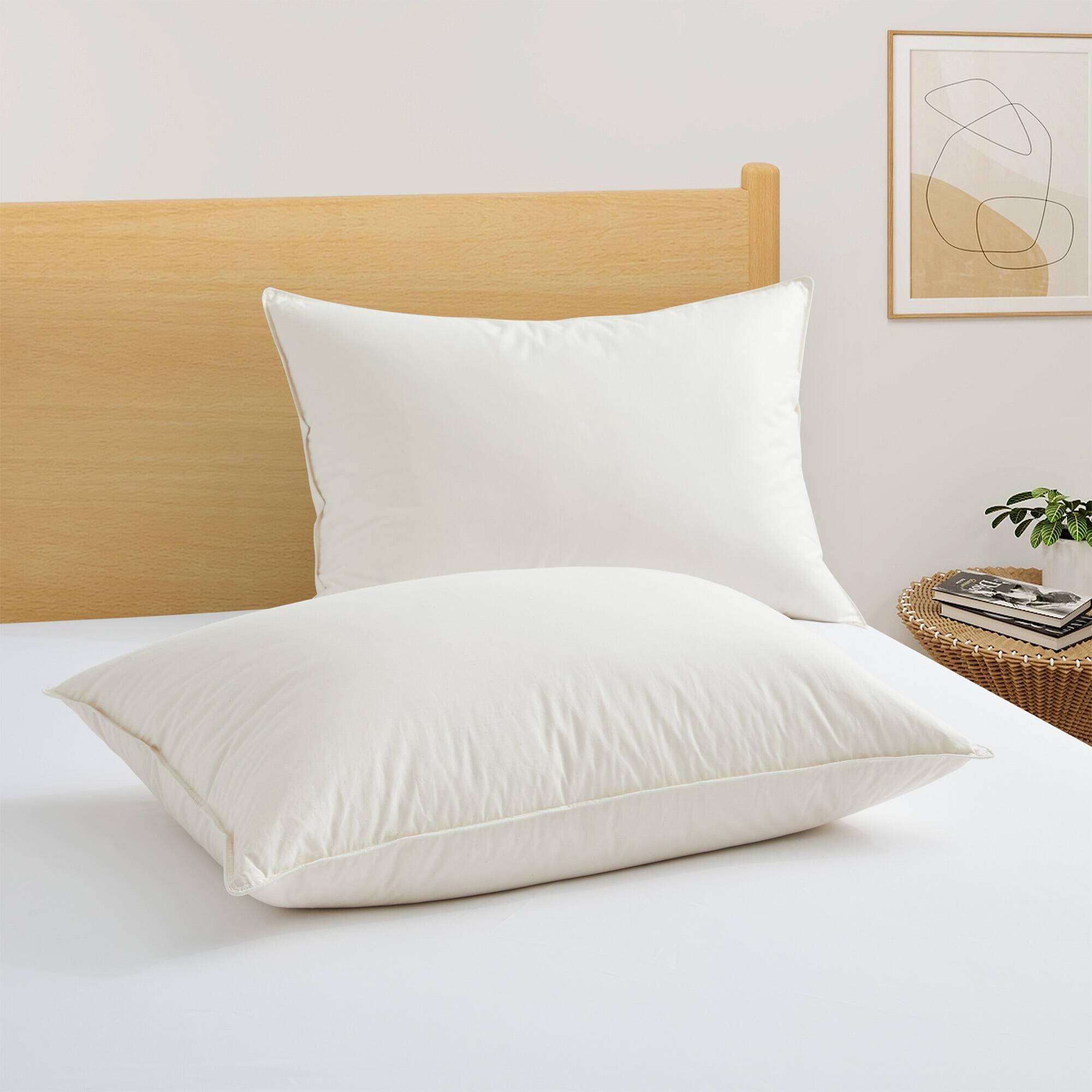 Front. Puredown - Puredown Set of 2 Natural Organic Cotton 50% Down Pillows Made in Japan, Standard/Queen - Off-White.