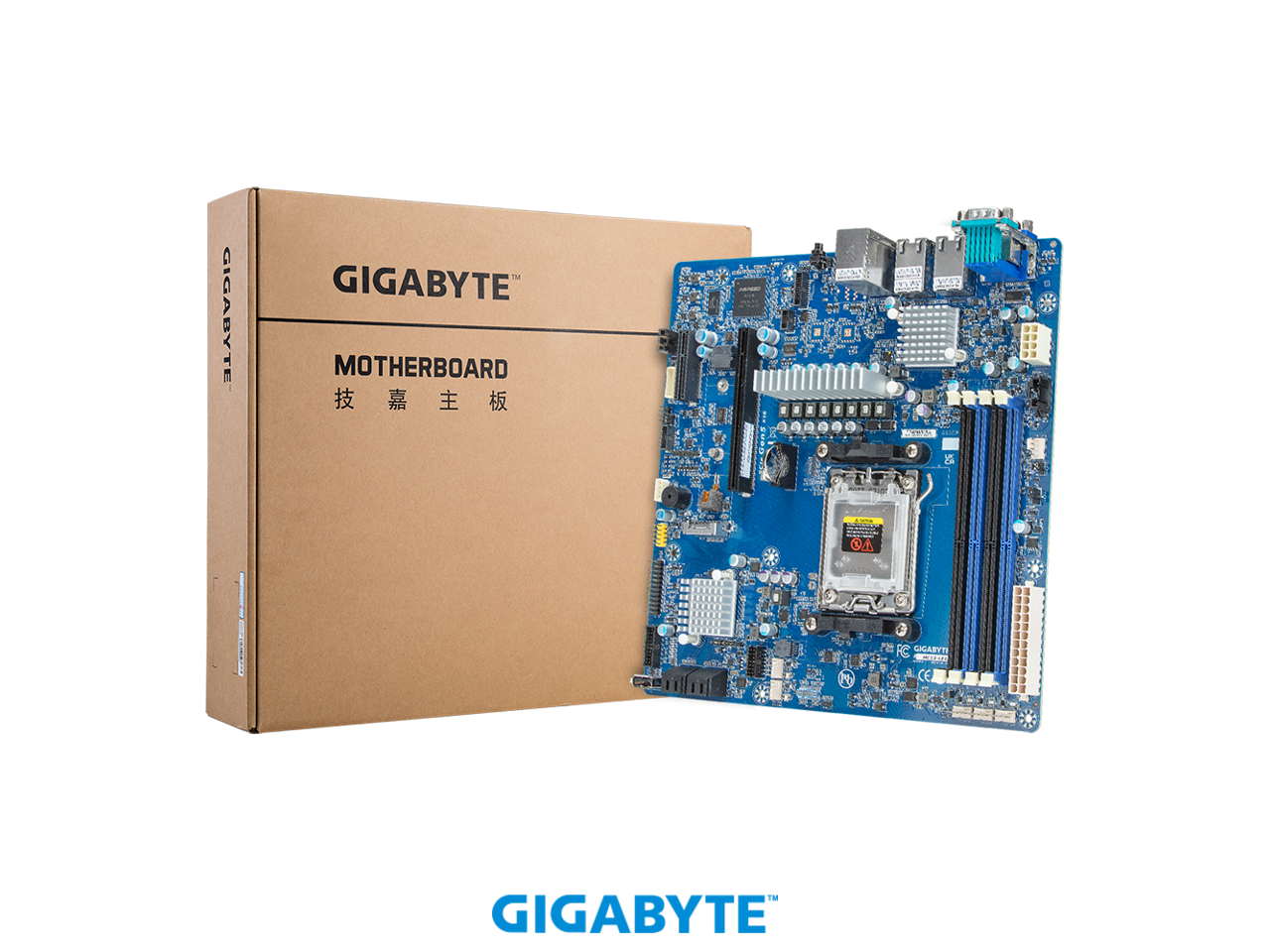 GIGABYTE MOTHERBOARD  
技嘉主板