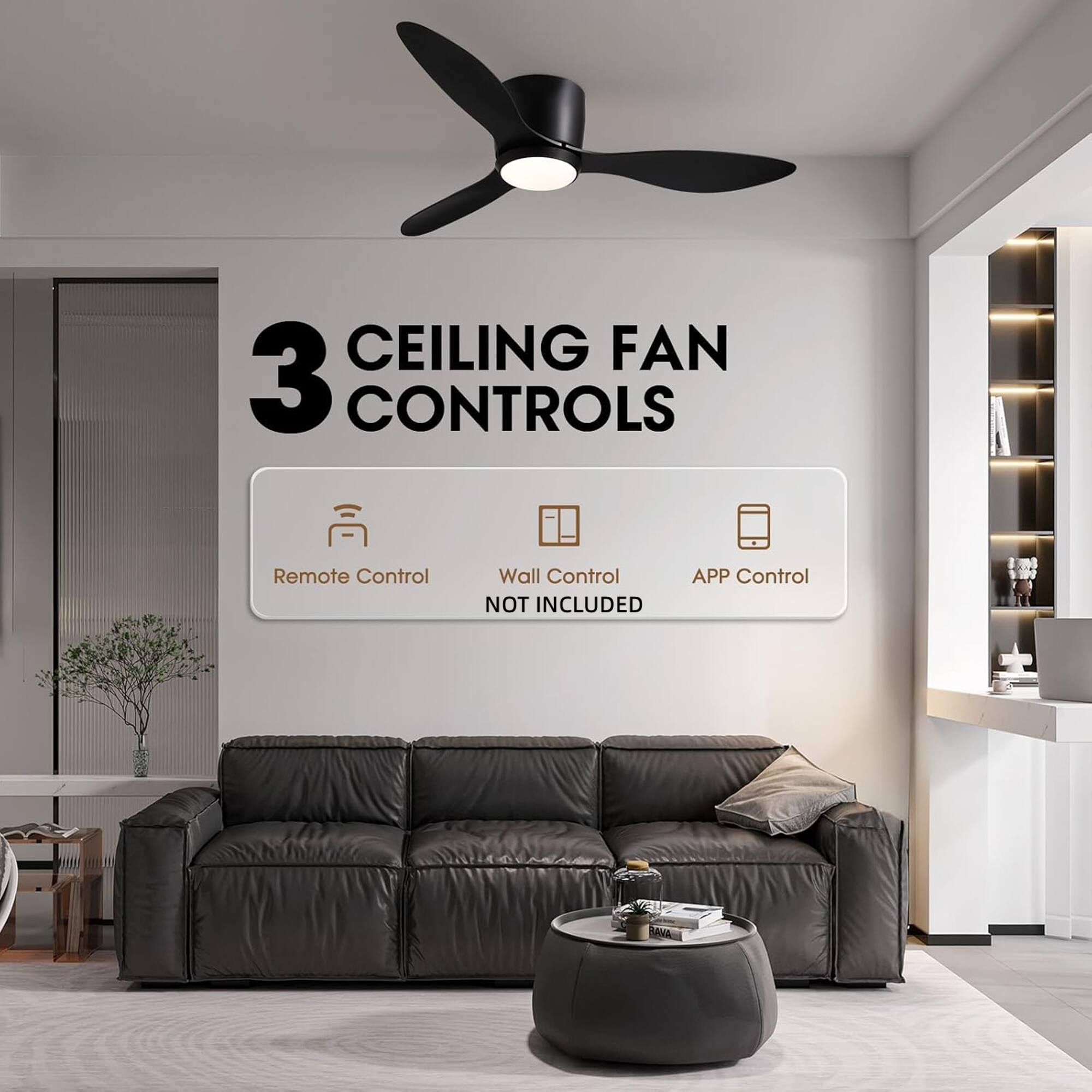 CEILING FAN 3 CONTROLS  
Remote Control  
Wall Control NOT INCLUDED  
APP Control