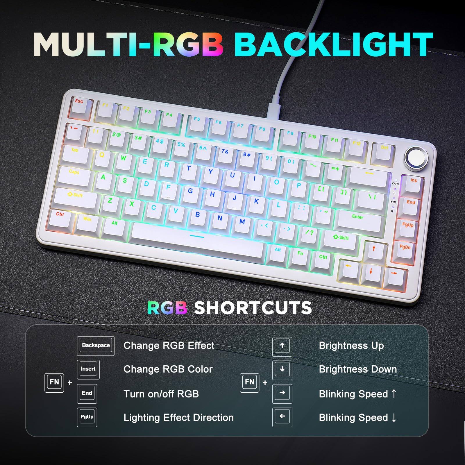 **MULTI-RGB BACKLIGHT**

**RGB SHORTCUTS**

- Backspace: Change RGB Effect
- Insert: Change RGB Color
- FN + End: Turn on/off RGB
- FN + PgUp: Lighting Effect Direction
- FN + Brightness Up: Brightness Up
- FN + Brightness Down: Brightness Down
- FN + Blinking Speed ↑: Blinking Speed ↑
- FN + Blinking Speed ↓: Blinking Speed ↓