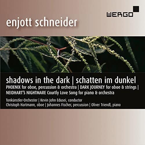 Schneider / Tonkunstler-Orchester / Edusei - Enjott Schneider: Shadows in the Dark  - COMPACT DISCS