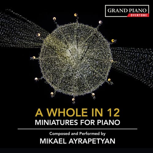 Ayrapetyan - Whole in 12   - COMPACT DISCS [CD] price history on PriceWatchPro