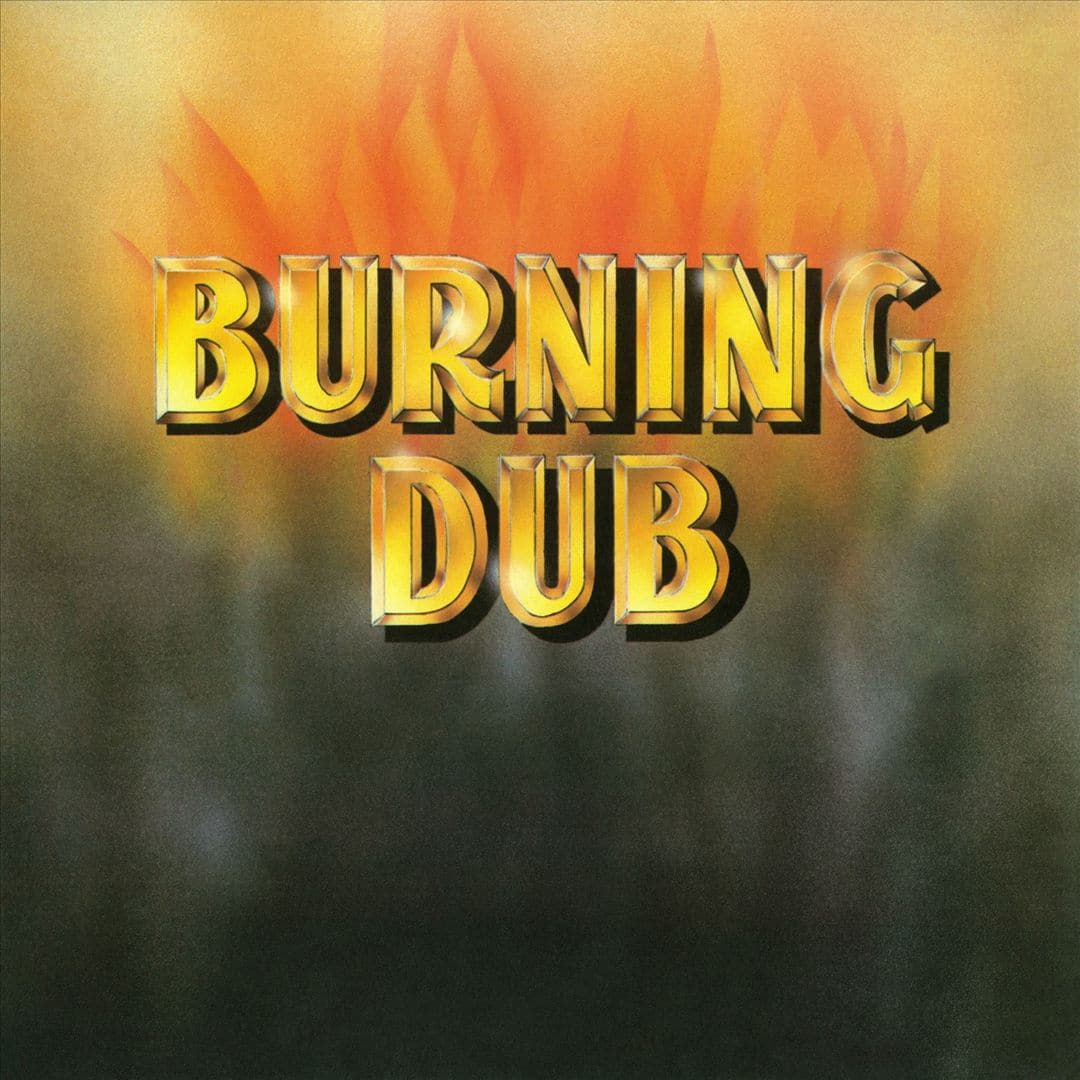 Burning Dub [LP] [VINYL] price history on PriceWatchPro