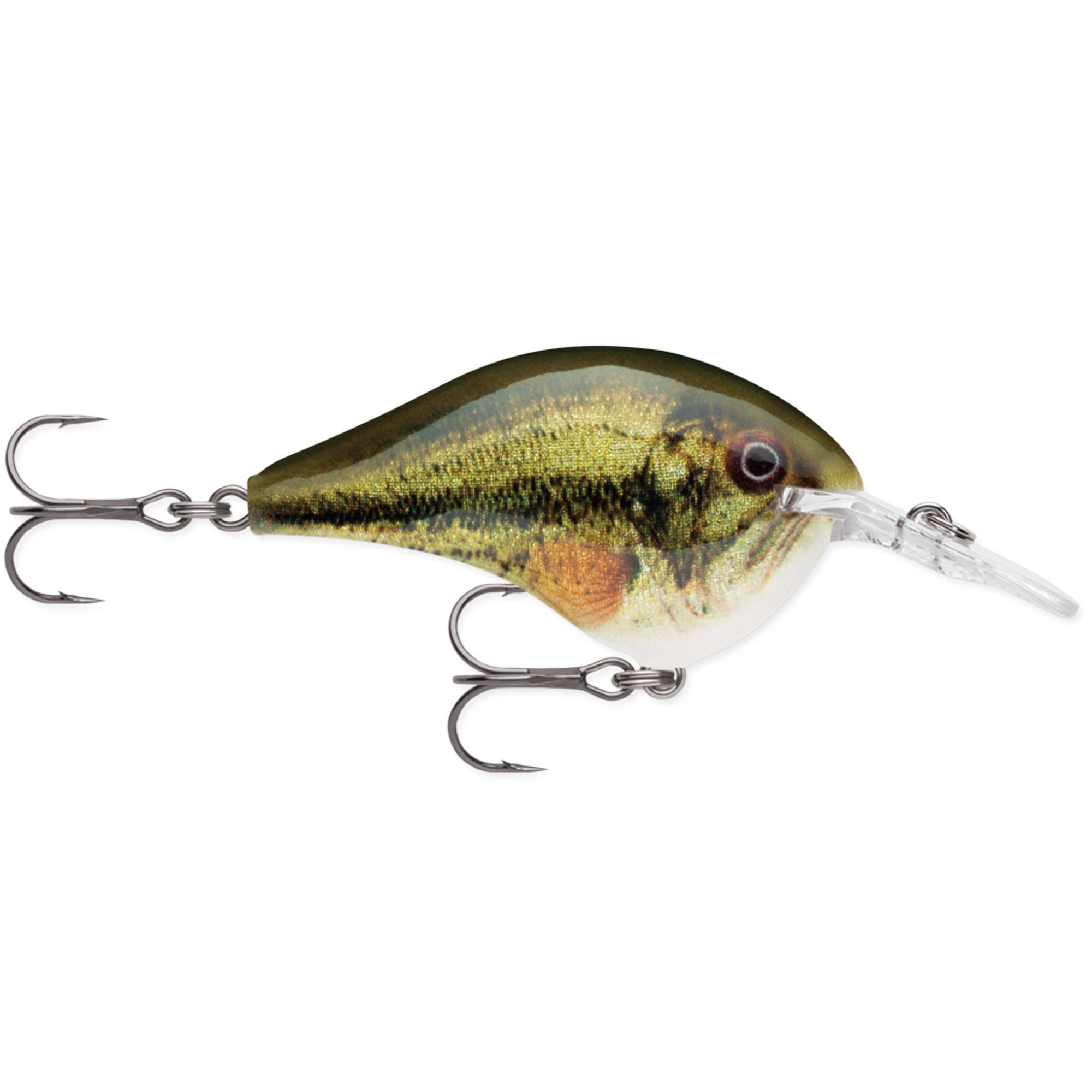 Live Largemouth Bass