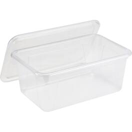 Storex - Small Cubby Bin with Lid, Clear