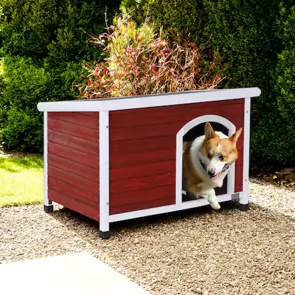 Front. Pefilos - 41.5" Width Wooden Dog Houses for Small Medium Large Dogs Outdoor Weatherproof Dog Kennel with Raised Feet.