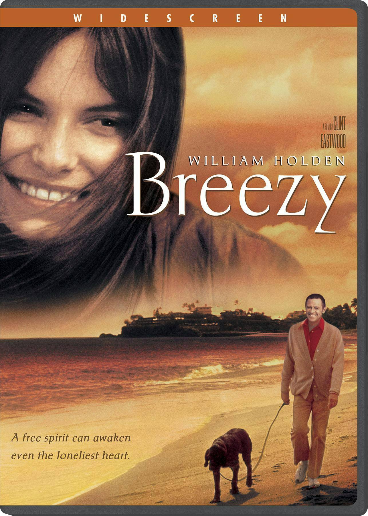 Breezy [DVD] [Standard]