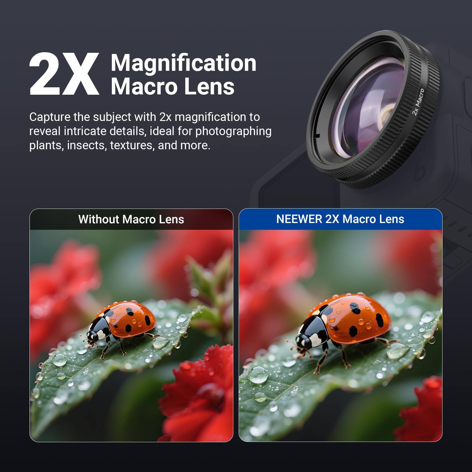 2X Magnification Macro Lens

Capture the subject with 2x magnification to reveal intricate details, ideal for photographing plants, insects, textures, and more.

Without Macro Lens

NEEWER 2X Macro Lens