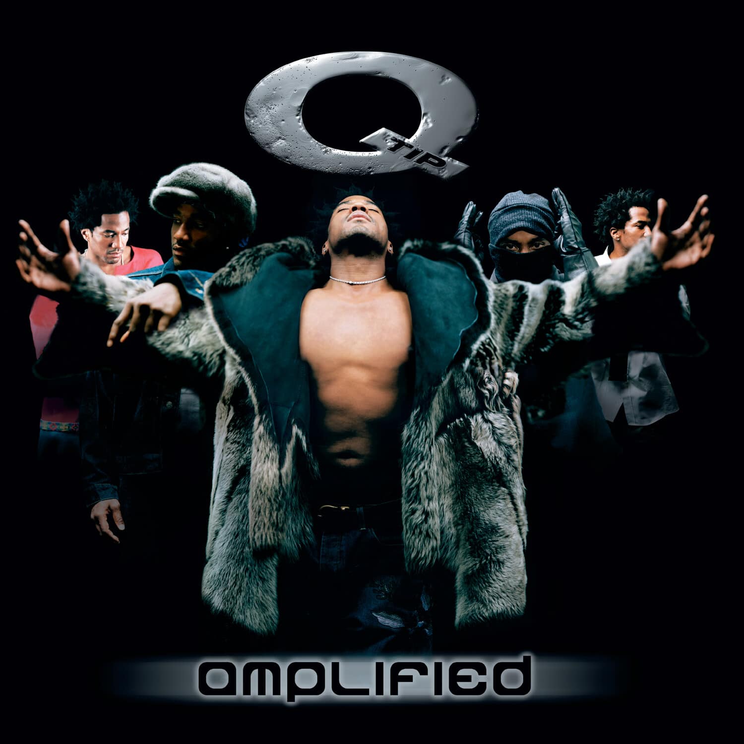 Q-Tip - Amplified   - VINYL LP price history on PriceWatchPro