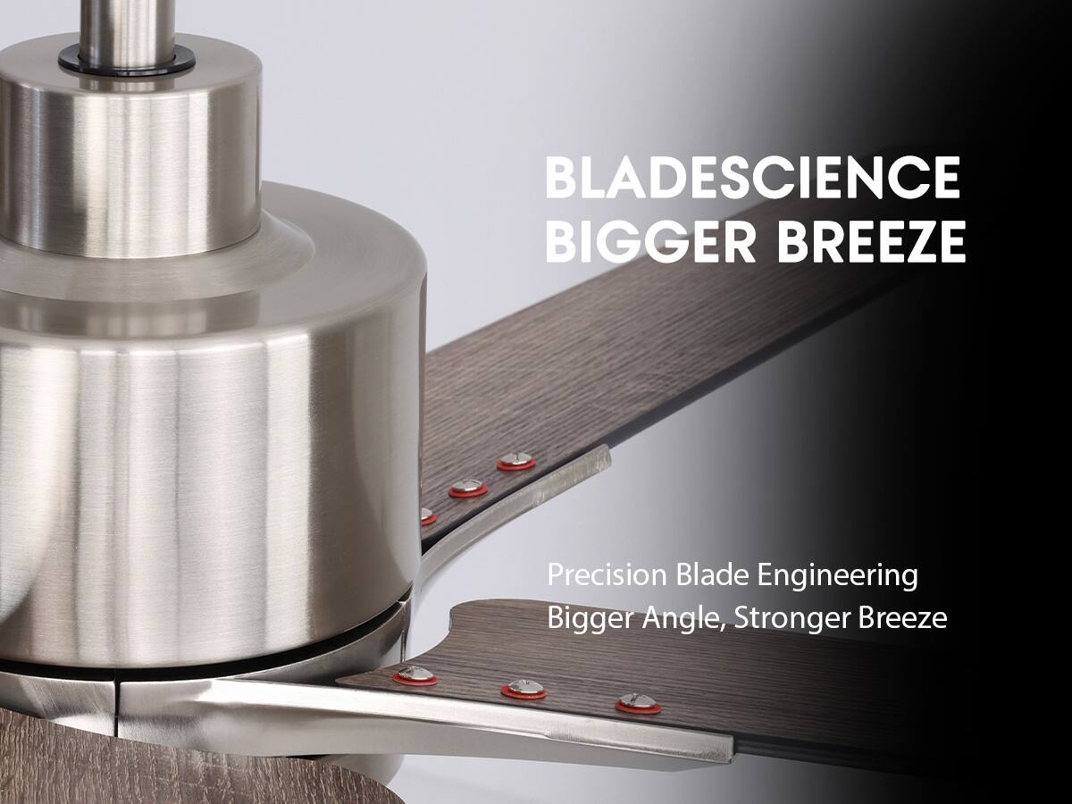 BLADE SCIENCE  
BIGGER BREEZE  

Precision Blade Engineering  
Bigger Angle, Stronger Breeze
