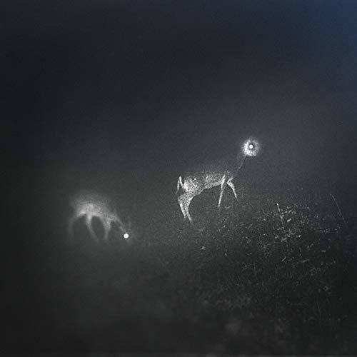 Front. Bliss Signal - Bliss Signal   - VINYL LP.