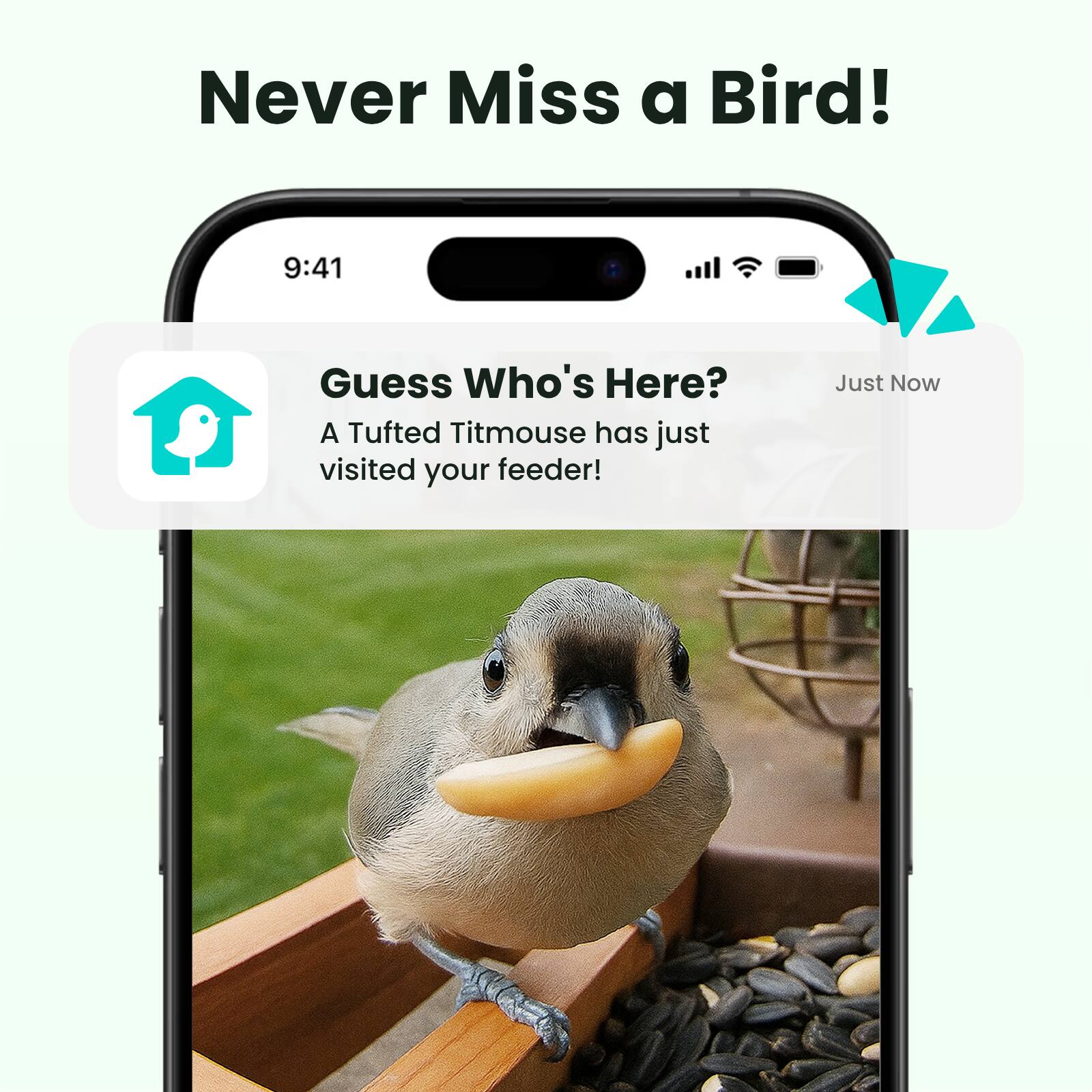 Never Miss a Bird!  
9:41  
Guess Who's Here?  
A Tufted Titmouse has just visited your feeder!  
Just Now